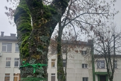 1000045366