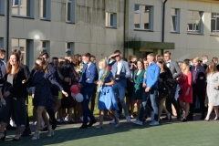 IVd